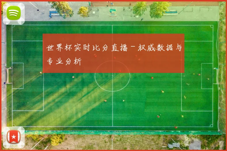 世界杯实时比分直播 - 权威数据与专业分析